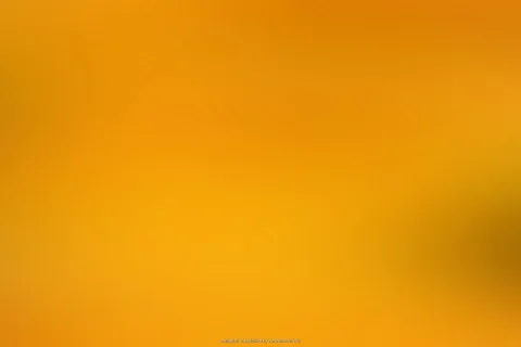 Weich verlaufender orangefarbener Hintergrund, nach rechts unten dunkler werdend mit olivfarbenen Schattierungen