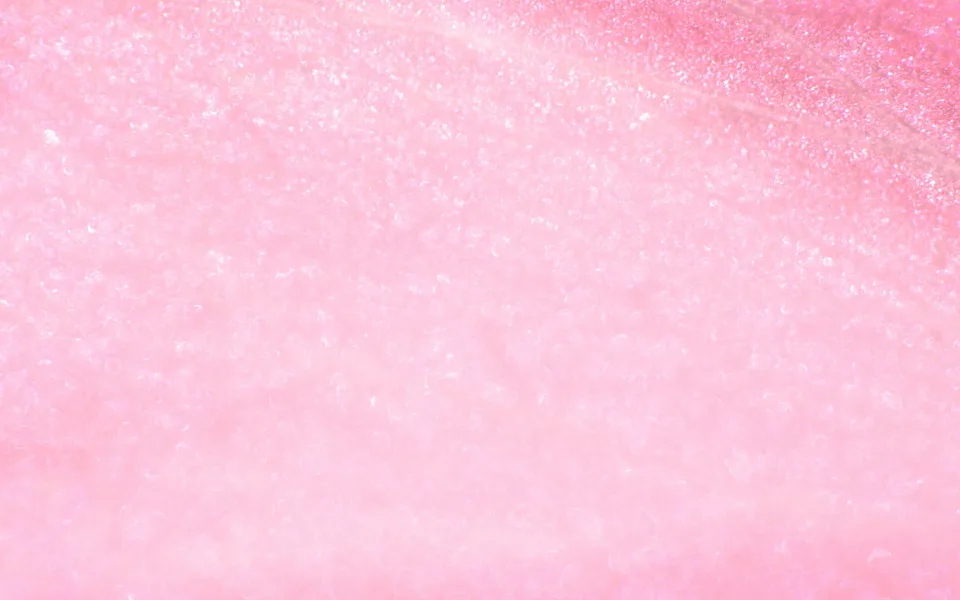 Nahaufnahme einer rosafarbenen Blütenblattoberfläche mit feinen hellen Glitzerpunkten