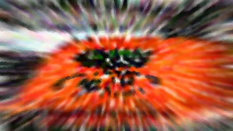 Abstrakte Komposition aus orangefarbenen und grünen Strahlen, die von einem dunklen Zentrum nach außen laufen.