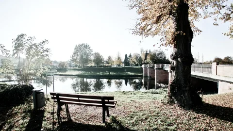 Holzbank am Flussufer neben einem Baum mit herbstlichem Laub, im Hintergrund eine Backsteinbrücke über das Wasser.