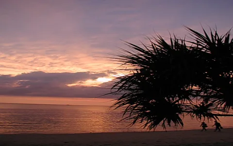 Sonnenuntergang über ruhigem Meer mit rosafarbenen Wolken, dunkle Palmwedel im rechten Vordergrund und zwei kleine Silhouetten am Strand.