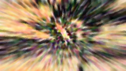 Abstrakte Komposition aus radial verlaufenden Farbstreifen in Gelb, Orange, Grün und Violett, die von einem Zentrum in der Bildmitte nach außen strahlen.