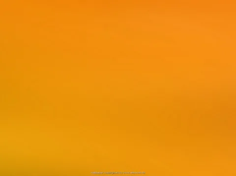 Gleichmäßiger Verlauf von kräftigem Orange oben zu hellerem Gelborange unten, ohne erkennbare Motive.