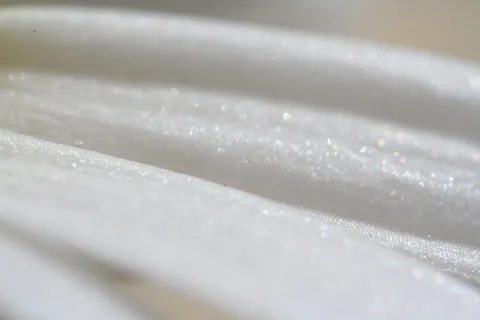 Nahaufnahme weißer Blütenblätter, diagonal im Bild, mit feinen glitzernden Lichtpunkten auf der Oberfläche