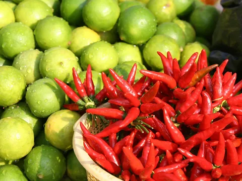 Viele grüne Limetten mit Wassertropfen, vorne ein geflochtener Korb mit roten Chilischoten.
