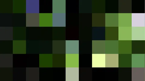 Raster aus farbigen Quadraten in Grün, Schwarz und Hellgrün, oben links ein blaues Feld und oben rechts ein helles Lila.