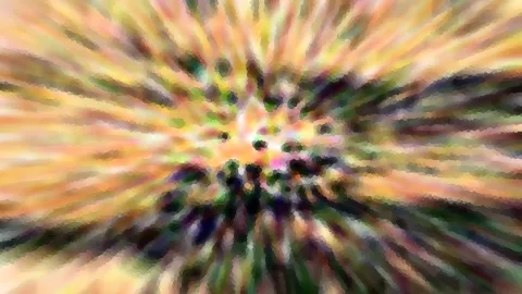 Abstrakte Komposition mit radial verlaufenden Streifen in Gelb, Orange und Dunkelgrün, die sich zur hellen Mitte hin bündeln.