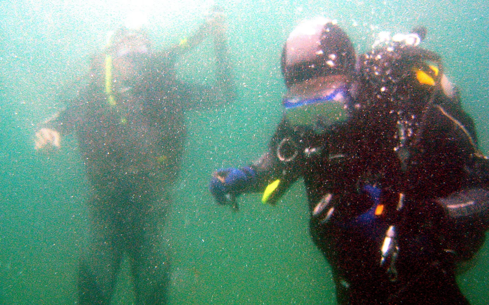 Zwei Taucher in Neoprenanzügen und mit Tauchmasken unter Wasser, im Vordergrund ein Taucher mit Atemregler, der im Hintergrund zweiter Taucher ist unscharf; grünliches, trübes Wasser voller Schwebeteilchen und Luftblasen.