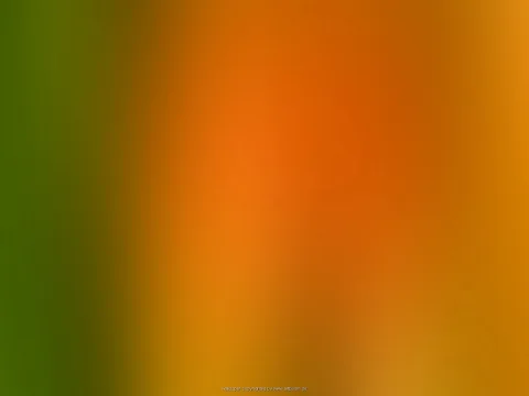 Unscharfer Farbverlauf von Grün links über Orange in der Mitte bis Gelborange rechts.