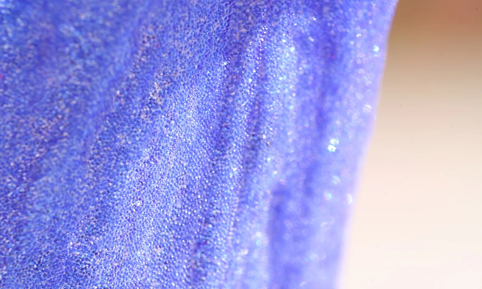 Nahaufnahme einer blauvioletten, fein punktierten Oberfläche mit sanften Falten, rechts verschwimmt sie in einem hellen Beige.