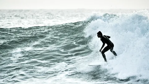 Ein Surfer im schwarzen Neoprenanzug reitet eine Welle, weiße Gischt spritzt um ihn herum.