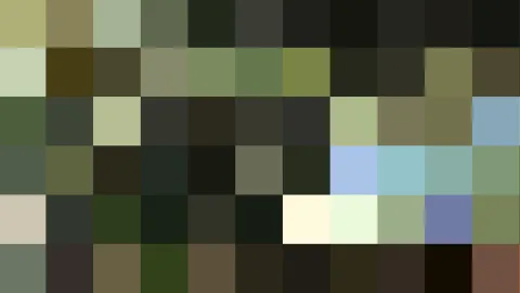 Raster aus quadratischen Farbfeldern in Oliv-, Grün-, Dunkel- und Blautönen.