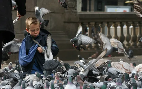 Ein blonder Junge in dunkler Jacke und blauem Schal steht inmitten vieler Tauben auf einem Platz, einige Tauben fliegen um ihn herum, im Hintergrund eine steinerne Balustrade.