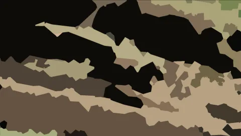 Abstraktes Muster aus unregelmäßigen, flächigen Formen in Schwarz, Beige, Khaki, Braun und Olivgrün.