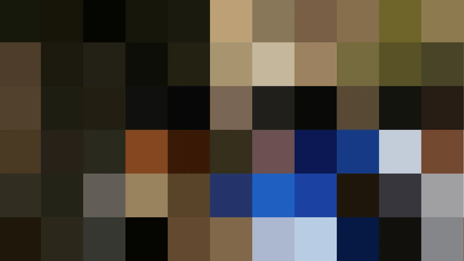 Rasterbild aus rund sechs mal zehn Farbfeldern in Braun, Oliv, Schwarz, Blau, Beige und Grau, ohne erkennbare Figuren.