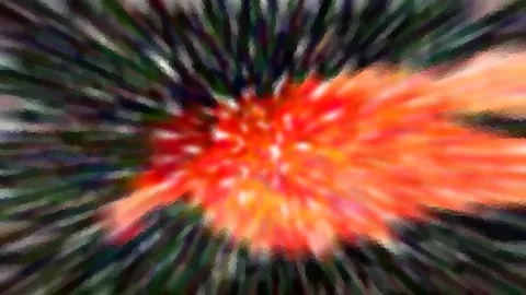 Abstrakte Komposition aus strahlenförmig verwischten Streifen in Grün, Grau und Schwarz, die auf ein leuchtend orange-rotes Zentrum zulaufen.