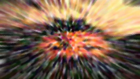 Radial verwischte Farbexplosion in Orange, Gelb und Grün mit dunklem Zentrum
