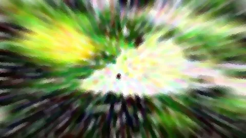 Abstrakte Komposition aus grünen, gelben und weißen Schlieren, die von einem hellen Zentrum radial nach außen laufen.