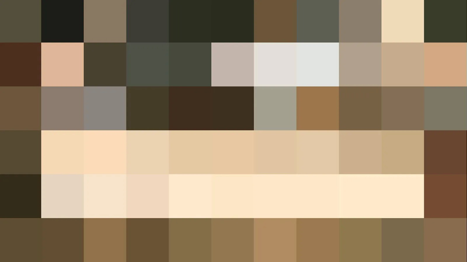 Pixelmosaik aus Blöcken in Beige, Braun und Dunkelgrün, in mehreren horizontalen Reihen angeordnet.