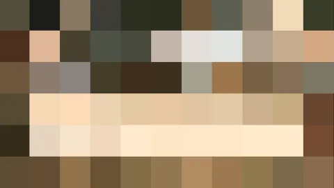 Pixelmosaik aus Blöcken in Beige, Braun und Dunkelgrün, in mehreren horizontalen Reihen angeordnet.