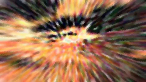 Abstrakte Komposition aus radial von einem dunklen Zentrum ausstrahlenden Streifen in Orange, Gelb, Grün und Rosa, stark verwischt.