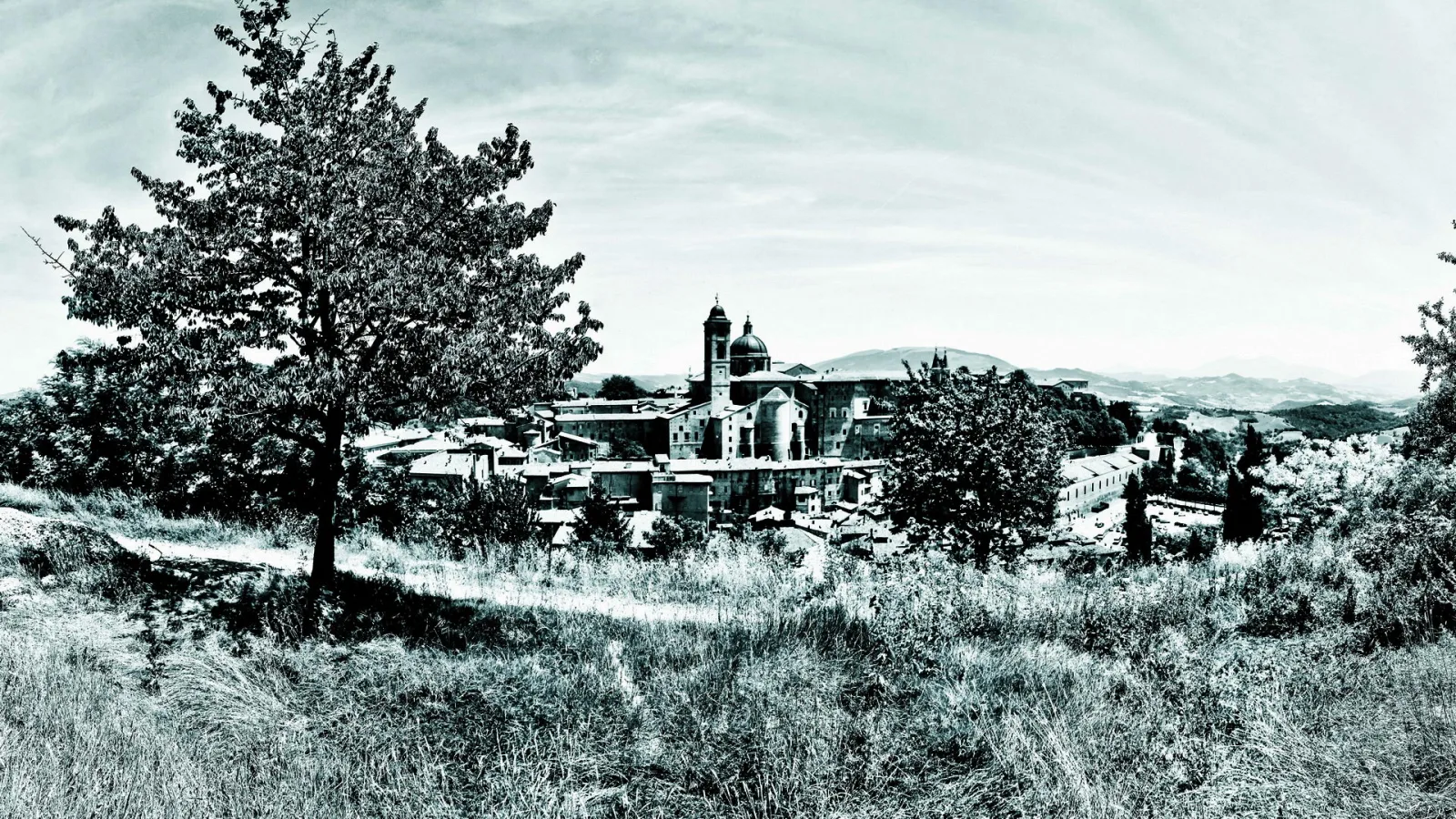 Schwarzweiß-Panorama der Stadt Urbino auf einem Hügel, links ein großer Baum im Vordergrund, in der Mitte Kirchtürme und Kuppeln, dahinter weite Hügel unter bewölktem Himmel.