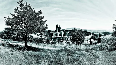 Schwarzweiß-Panorama der Stadt Urbino auf einem Hügel, links ein großer Baum im Vordergrund, in der Mitte Kirchtürme und Kuppeln, dahinter weite Hügel unter bewölktem Himmel.