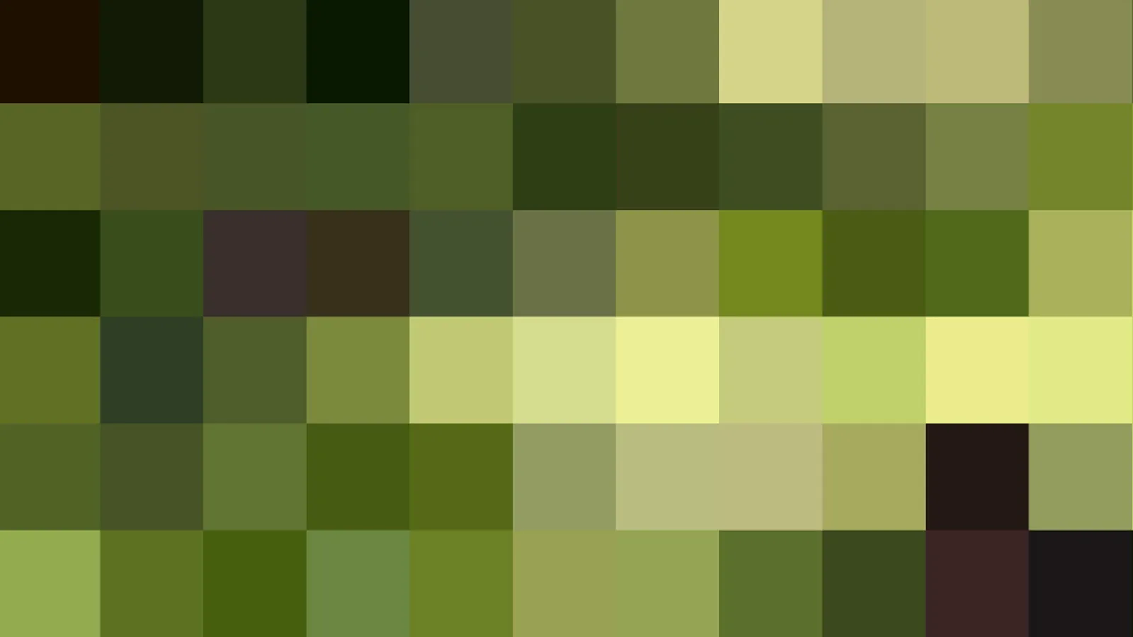 Raster aus quadratischen Pixelfeldern in Olivgrün, Gelbgrün und Hellgelb, am Rand einzelne fast schwarze Felder.