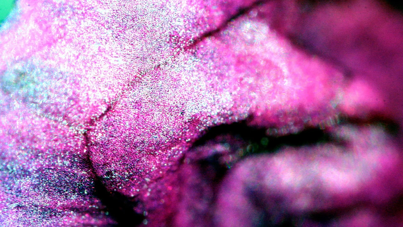 Makroaufnahme einer pink-violetten, körnig glänzenden pflanzlichen Struktur mit feinen dunklen Rissen