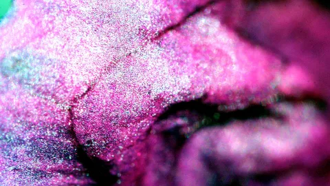 Makroaufnahme einer pink-violetten, körnig glänzenden pflanzlichen Struktur mit feinen dunklen Rissen