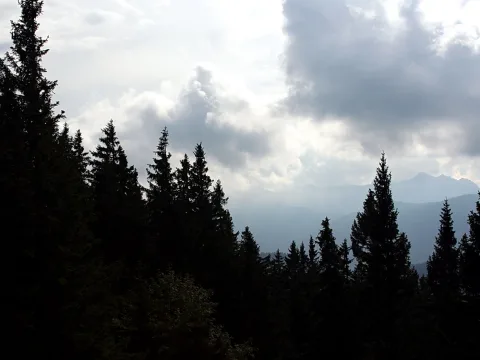 Dunkle Nadelbaumspitzen im Vordergrund, dahinter blaugraue Bergketten unter einem bewölkten Himmel mit Lichtdurchbruch.