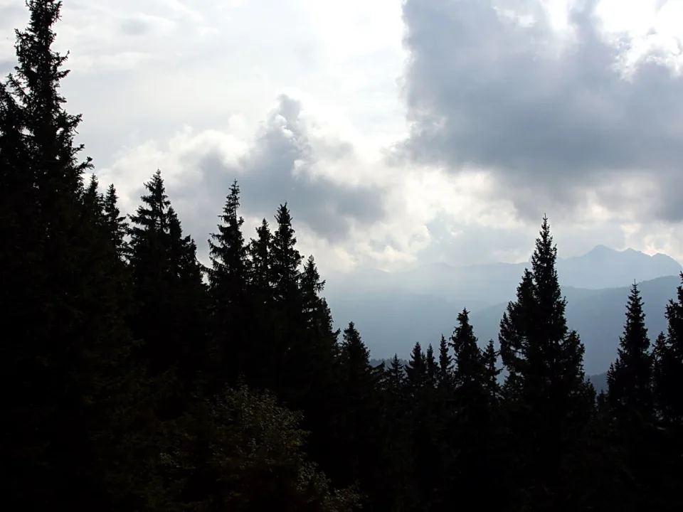 Dunkle Nadelbaumspitzen im Vordergrund, dahinter blaugraue Bergketten unter einem bewölkten Himmel mit Lichtdurchbruch.