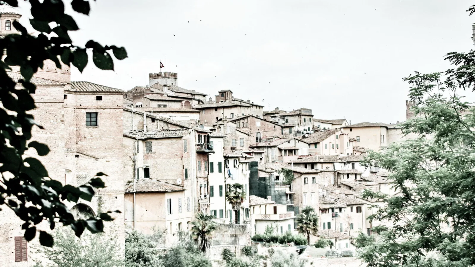 Dicht gedrängte Backsteinhäuser einer italienischen Altstadt auf einem Hügel, links und rechts grüne Blätter, heller Himmel.