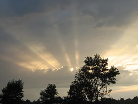 Sonnenstrahlen brechen durch graue Wolken über dunklen Baumsilhouetten am Abendhimmel.