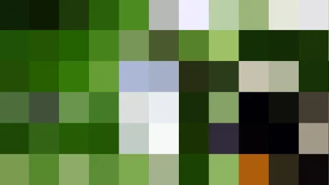 Pixelmosaik aus grünen, schwarzen und weißen Blöcken mit einzelnen blauen und einem orangefarbenen Feld.