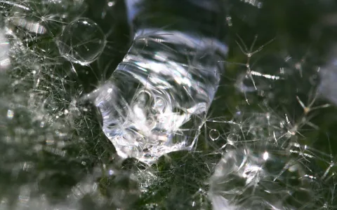 Makroaufnahme eines klaren Wassertropfens auf einer Fläche mit feinen, hellen Fasern vor dunklem Grün