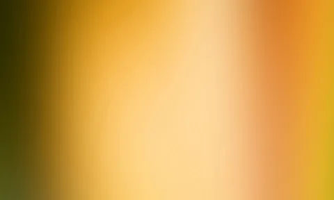 Unscharfer Farbverlauf von dunklem Olivgrün links über helles Cremegelb in der Mitte bis zu kräftigem Orange und Gelb rechts.