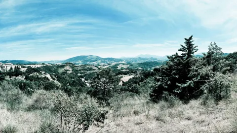 Hügelige Landschaft mit Nadelbäumen und Büschen, dahinter Berge unter einem blauen Himmel mit Schleierwolken.