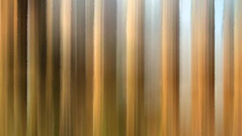 Vertikal verwischte Streifen in Braun, Gold und Beige, die an Baumstämme in Bewegung erinnern.