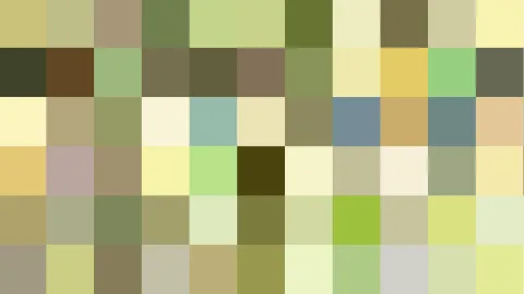 Raster aus kleinen Farbquadraten in Oliv, Grün, Gelb und Beige.