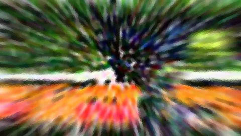 Stark verwischte Aufnahme mit radialem Zoomeffekt: grünes Laub oben, dunkler Baumstamm in der Mitte, orangerote Tulpen im unteren Bereich.