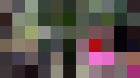 Raster aus rechteckigen Farbfeldern in gedämpftem Grau, Dunkelgrün, Braun, Rot und Pink