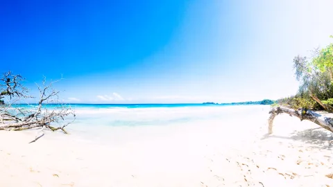 Breiter, weißer Sandstrand mit türkisfarbenem Meer unter wolkenlosem blauem Himmel, links ein kahler, verzweigter Baum, rechts ein umgestürzter Ast mit grünem Laub.