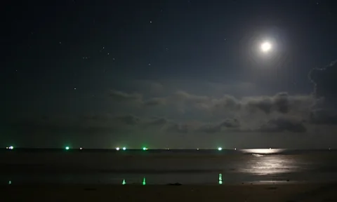 Nächtliches Meer unter Mond und Sternenhimmel, grüne Lichter am Horizont, dunkler Sandstrand im Vordergrund