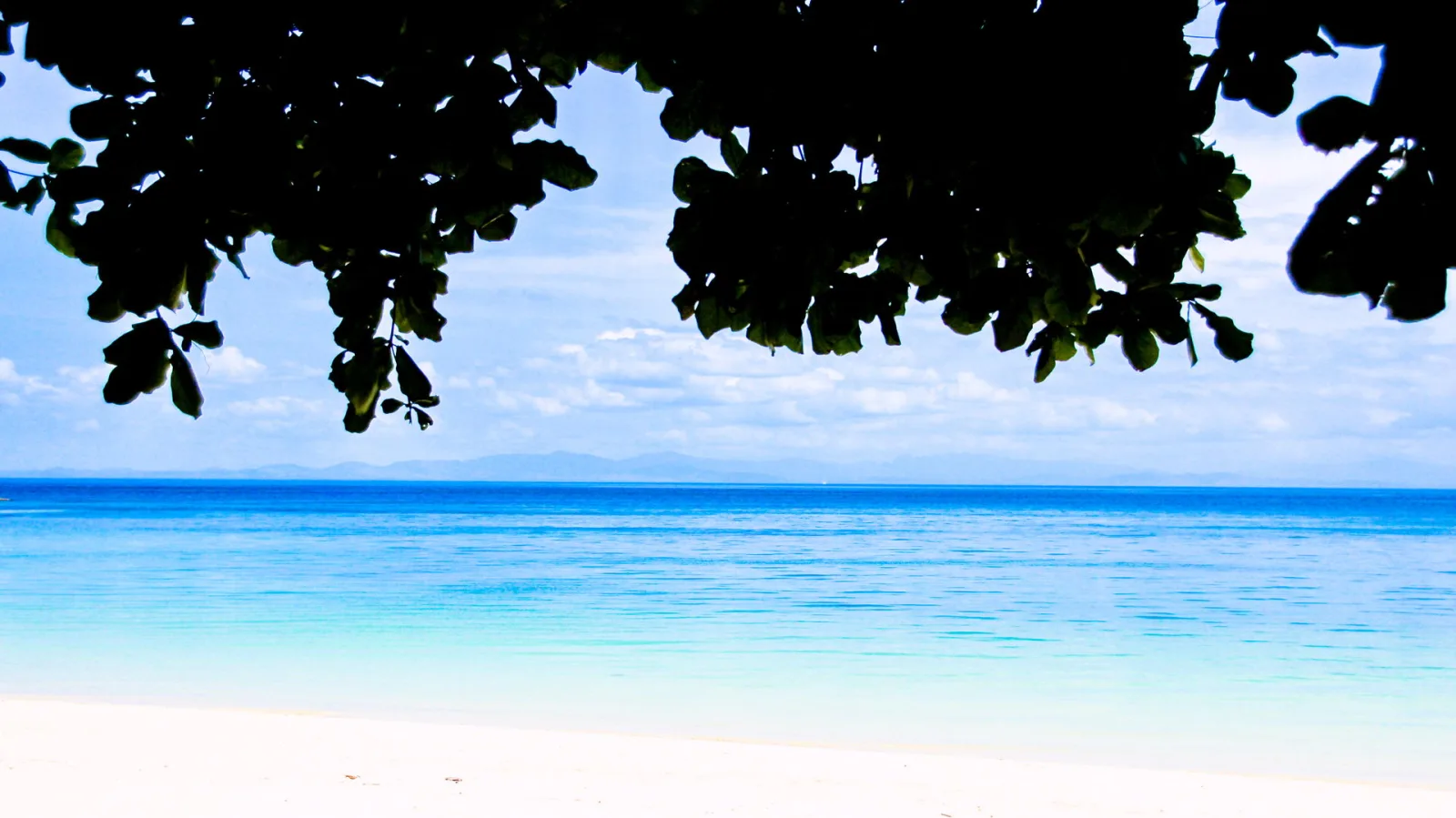 Tropischer Strand mit weißem Sand, türkisblauem Meer und dunklen Blattsilhouetten im oberen Bildbereich, dahinter ein flacher Horizont unter hellblauem Himmel.