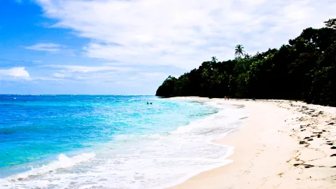 Weißer Sandstrand links vom Betrachter, türkisfarbenes Meer mit Brandung, rechts dichter grüner Dschungel mit Palmen, einige Badende im Wasser, blauer Himmel mit weißen Wolken.