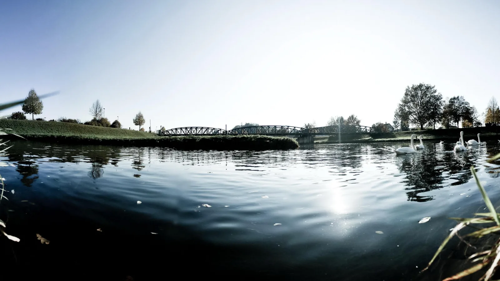 Weitwinkelaufnahme eines Flusses mit dunklem, leicht gewelltem Wasser. Im Hintergrund führt eine Stahlfachwerkbrücke über den Fluss, links liegt eine grasbewachsene Böschung mit Bäumen, rechts schwimmen drei weiße Schwäne.