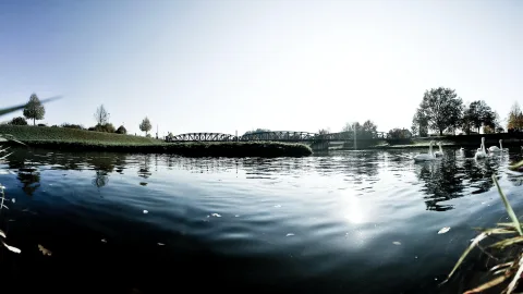 Weitwinkelaufnahme eines Flusses mit dunklem, leicht gewelltem Wasser. Im Hintergrund führt eine Stahlfachwerkbrücke über den Fluss, links liegt eine grasbewachsene Böschung mit Bäumen, rechts schwimmen drei weiße Schwäne.