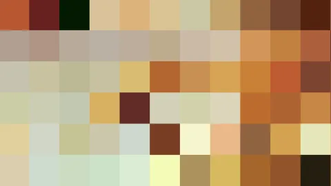 Raster aus farbigen Quadraten in Ocker, Sand, Braun, Olivgrün und Beige, oben links rotbraun und dunkelgrün, unten hellgrün und schwarz.