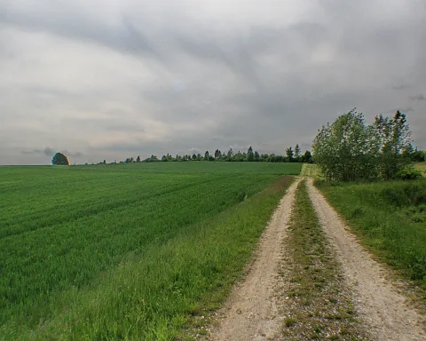 Ein heller Schotterweg führt geradeaus durch ein grünes Feld, rechts stehen Bäume, und der Himmel ist stark bewölkt.
